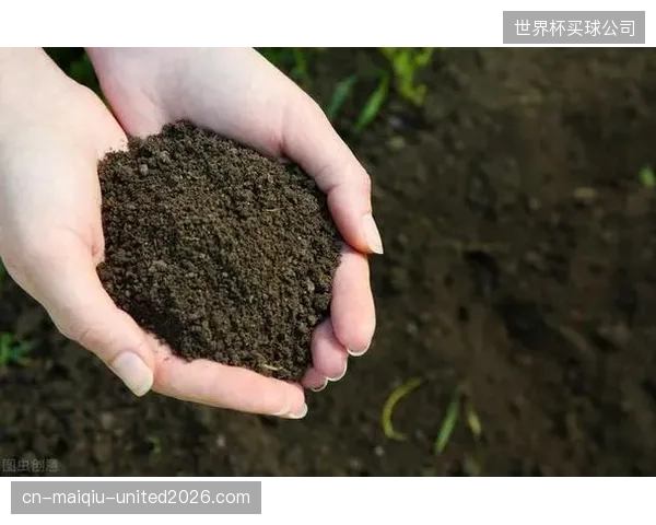 “最小参赛国”标签极具故事性，为社交媒体内容病毒式传播提供天然土壤。